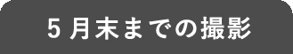 5月末までの撮影