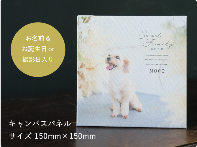 お名前 & お誕生日 or 撮影日入り　キャンバスパネル サイズ 150mm×150mm